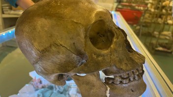 Policía investiga un cráneo humano hallado en una tienda de Florida