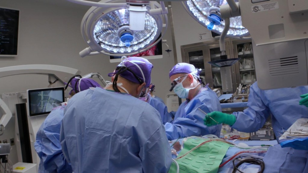 Mira el video del primer transplante de ojo y cara del mundo