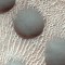Hipnotizantes dunas circulares en Marte son la imagen de la semana de la NASA