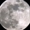 Mira las imágenes de la luna llena de castor