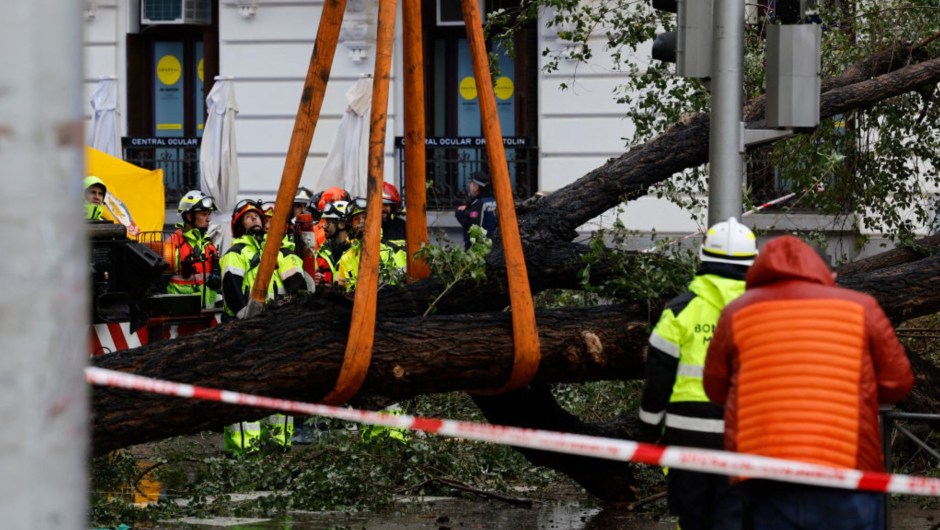 Los bomberos retiran un árbol tendido en la acera tras desplomarse, a causa del fuerte viento, lo que ocasionó la muerte de una mujer el 2 de noviembre de 2023, en Madrid. (Crédito: OSCAR DEL POZO/AFP vía Getty Images)