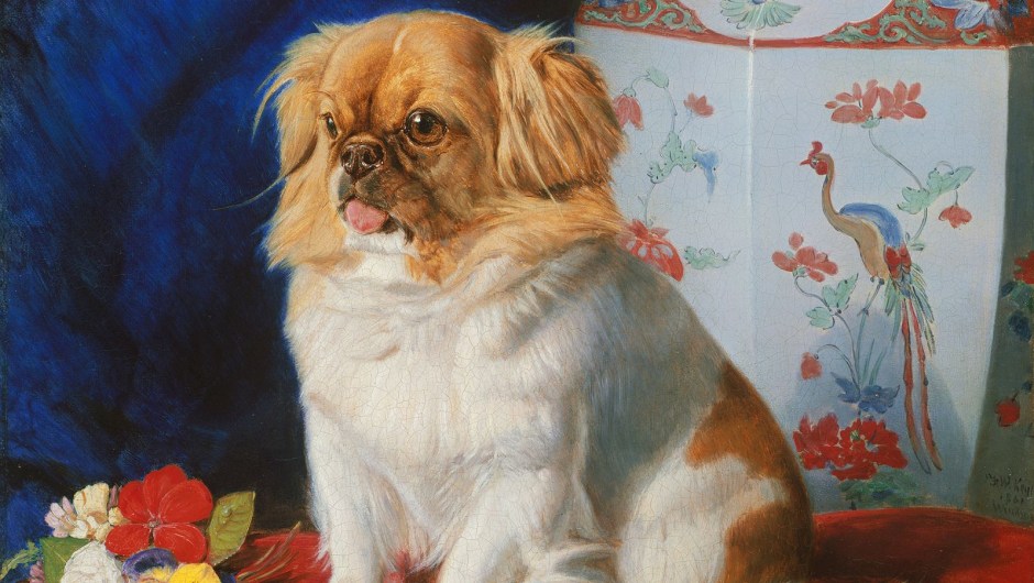 Pintura de Friedrich Wilhelm Keyl de 1861 del perro Looty, encargada por su dueña, la reina Victoria.