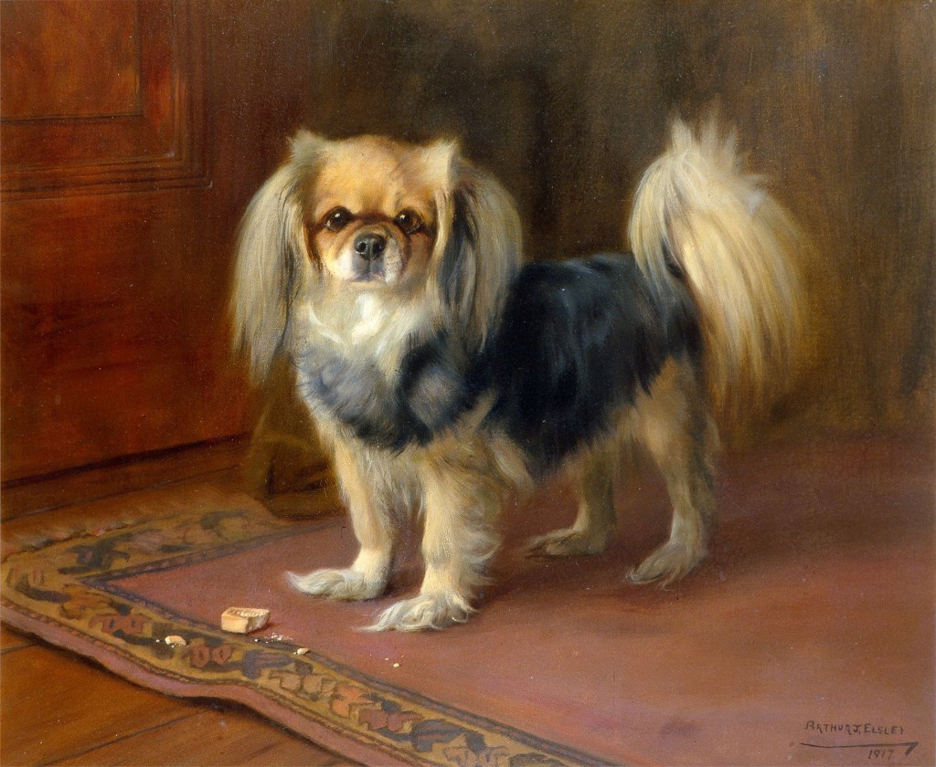 Los perros de aguas tibetanos, como los representados en esta pintura de Arthur John Elsley, también se criaban y criaban en Gran Bretaña en el siglo XIX.
