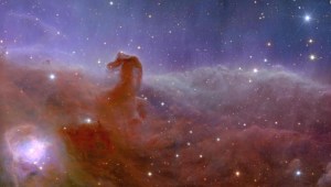 Euclid revela una nueva imagen de la nebulosa Cabeza de caballo