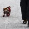¿Cómo proteger a tus mascotas del frío? 4 consejos prácticos
