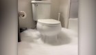 Un baño que vomita espuma se vuelve viral
