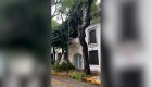 Árbol impacta casa tras tormenta en Buenos Aires