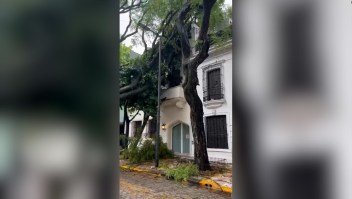 Árbol impacta casa tras tormenta en Buenos Aires
