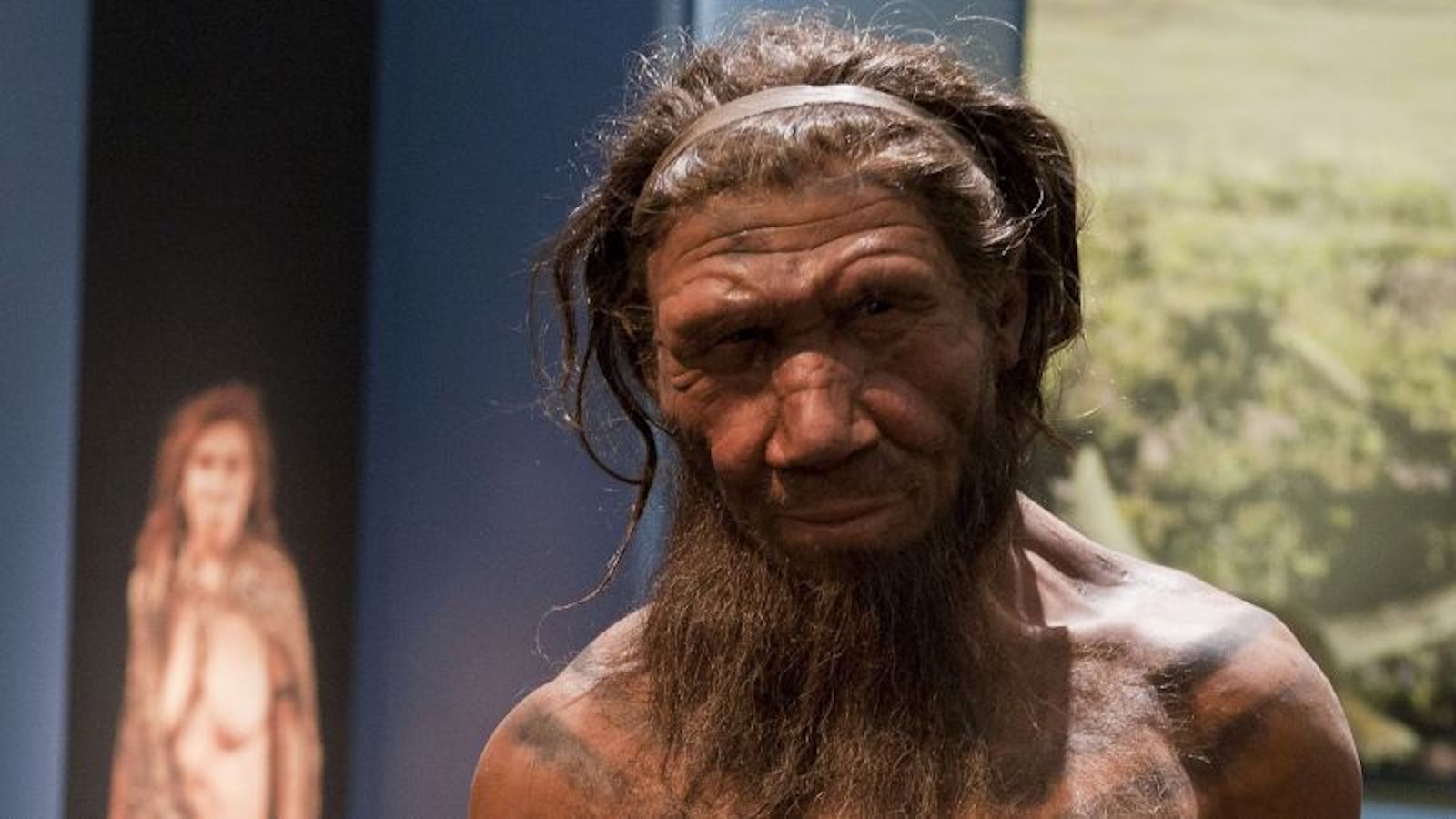 Audio: Pautas para afrontar el dolor crónico. Genes neandertales pueden  favorecer ser madrugador
