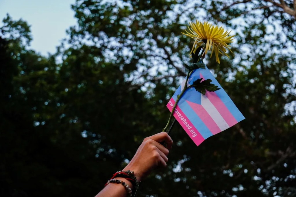 Una persona sostiene una bandera del orgullo transgénero y una flor durante una protesta de Liberación Trans Negra en Nueva York, Estados Unidos, el 31 de mayo de 2023. (Amr Alfiky/Reuters)