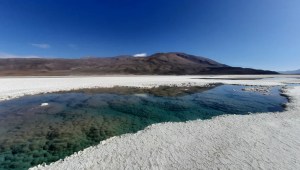 Un altiplano en el noroeste de Argentina tiene lagunas saladas con estromatolitos gigantes vivos, rocas en capas creadas por microbios que representan la evidencia fósil más antigua de vida en la Tierra. (Foto: Brian Hynek).