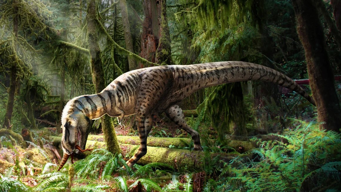 Una ilustración muestra un Gorgosaurus, un primo del T. rex, en una escena de bosque del Cretácico. (Julius Csotonyi)