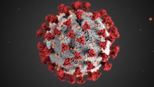 Covid-19 coronavirus SARS-CoV-2