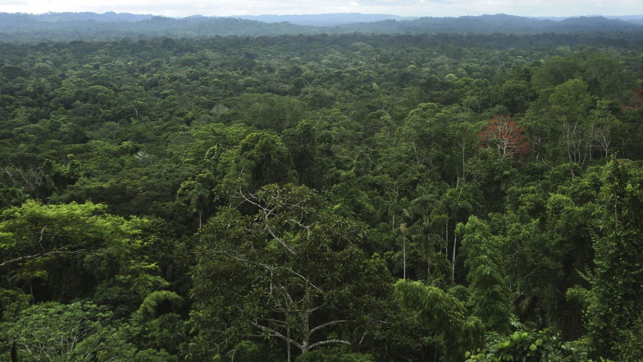 They discover a huge network of ancient cities in the Amazon rainforest