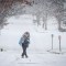 Más de 100 millones de afectados por tormenta ártica en Estados Unidos