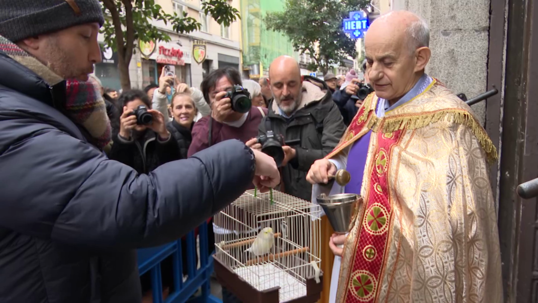 Honran en España al Patrón de los animales, san Antón
