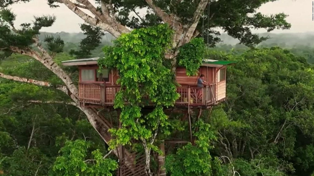 Esta casa del árbol proporciona educación de forma innovadora