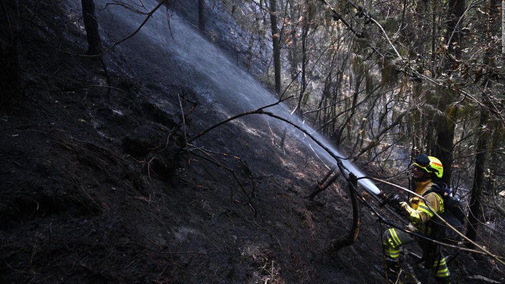 Autoridades intentan combatir los incendios forestales en Colombia