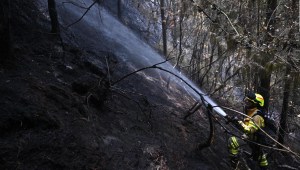 Autoridades intentan combatir los incendios forestales en Colombia