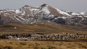Campo argentino en la Patagonia (Crédito: FRANCISCO RAMOS MEJIA/AFP via Getty Images)