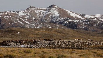 Campo argentino en la Patagonia (Crédito: FRANCISCO RAMOS MEJIA/AFP via Getty Images)