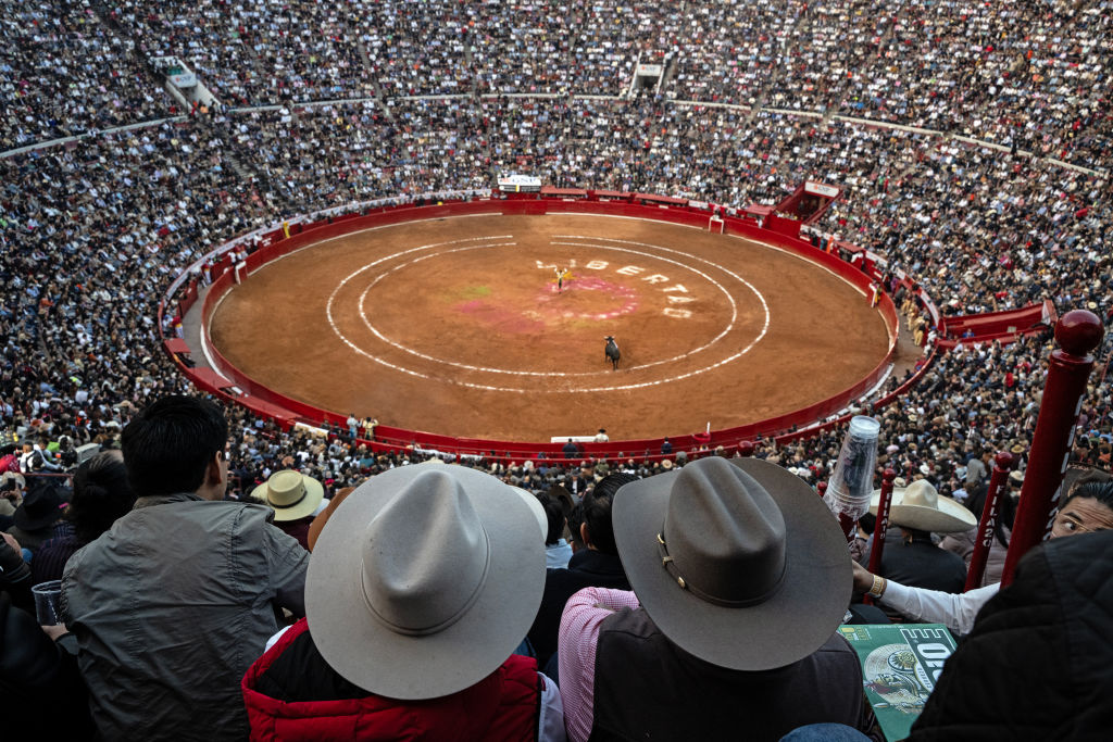 Las corridas de toros en México: la voz de seguidores y críticos