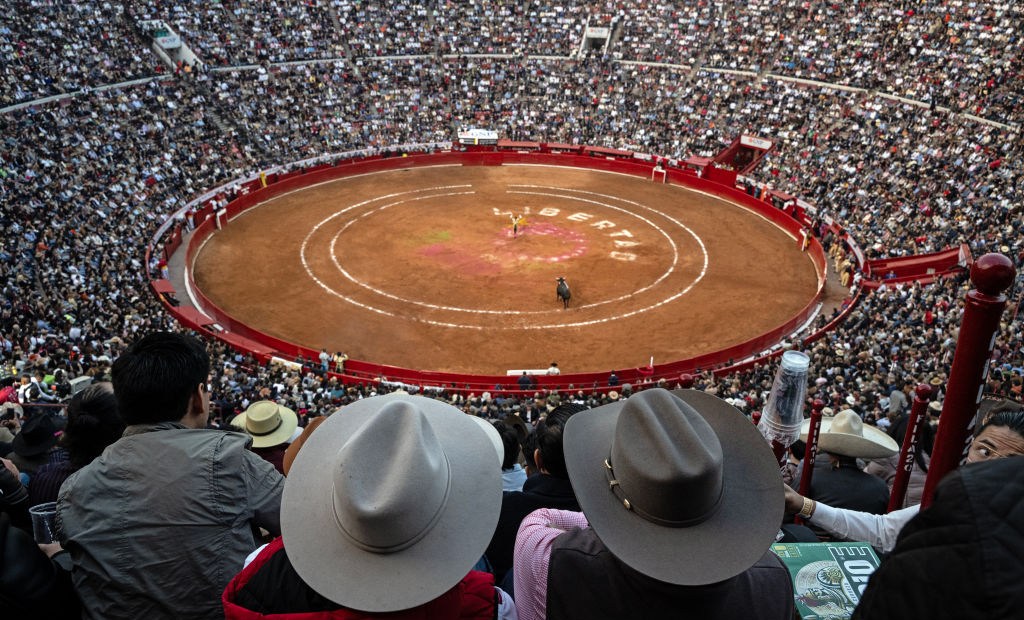 Las corridas de toros en México: la voz de seguidores y críticos