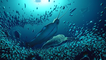 La ilustración de un artista muestra gusanos depredadores gigantes nadando en un mar antiguo. (Ilustración de Bob Nicholls/@BobNichollsArt)