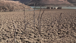 Cataluña declara oficialmente la emergencia por sequía