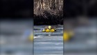 Así rescatan a un ciervo tras caer a un lago congelado