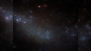 El telescopio Hubble detecta una galaxia cubierta de estrellas