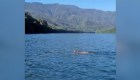Turistas captan a un puma nadando en un lago en Chile