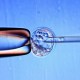 EE.UU: una ley estatal determina que los embriones congelados son niños