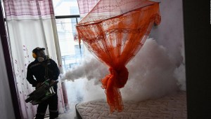 Dengue pone en alerta a Perú, esto es lo que sabemos