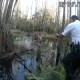 Encuentran a niña de 5 años que se perdió en los pantanos de Tampa