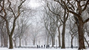 La gente camina por el Central Park de Nueva York mientras cae nieve durante una tormenta invernal el 19 de enero de 2024. (Crédito: CHARLY TRIBALLEAU/AFP vía Getty Images)