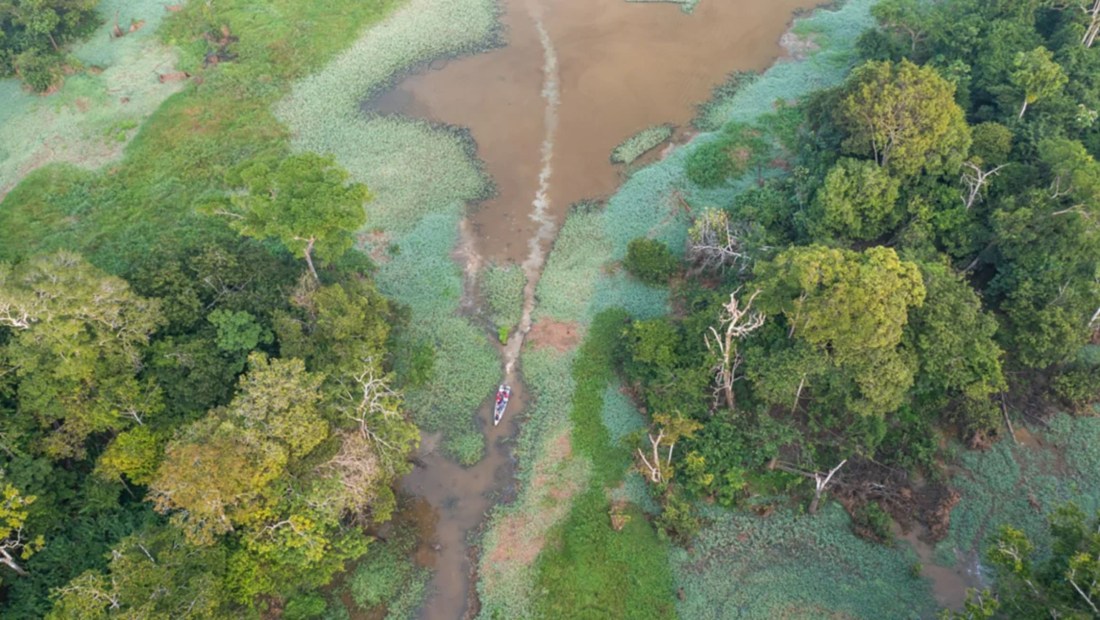 Vista aérea de una llanura aluvial amazónica por la mañana, en Carauari, Brasil, en septiembre de 2022. (Crédito: Andre Dib)
