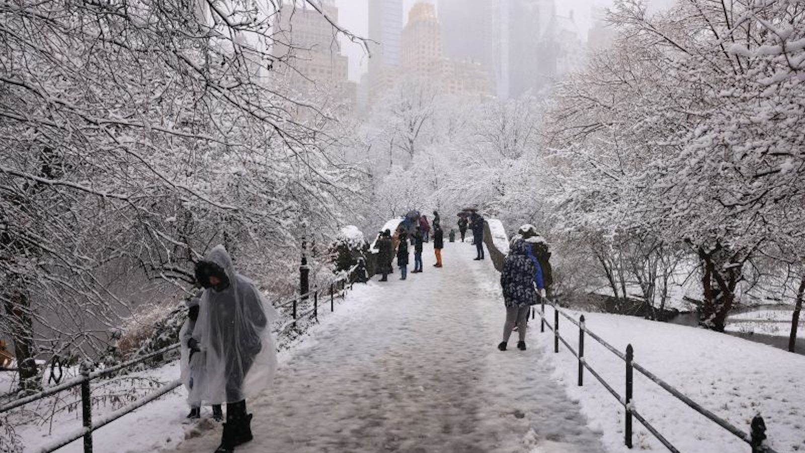 Silny północny wschód pokrywa ten obszar śniegiem, przez co jest to najbardziej śnieżny dzień w Nowym Jorku od dwóch lat