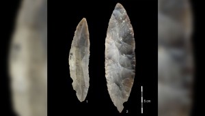 Los arqueólogos habían pensado durante mucho tiempo que las distintivas herramientas de piedra con forma de hoja fueron hechas por neandertales. Un nuevo estudio sugiere que fueron creados por el Homo sapiens. (Josephine Schubert/Museo Burg Ranis)