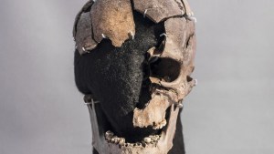 El cráneo fragmentado del "Hombre de Vittrup" se exhibe en el Museo Histórico de Vendsyssel en Dinamarca. (Crédito: Esteban Freiheit)