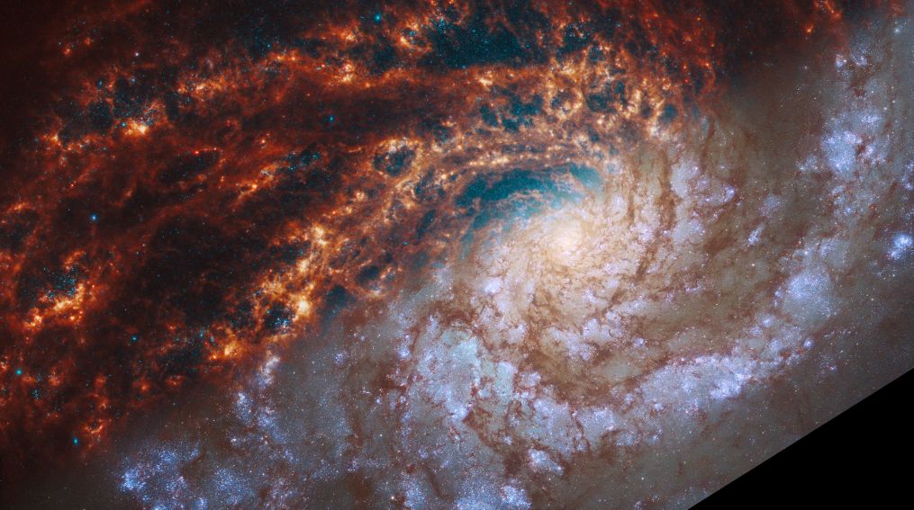 Hubble's Web spiral galaxy stars