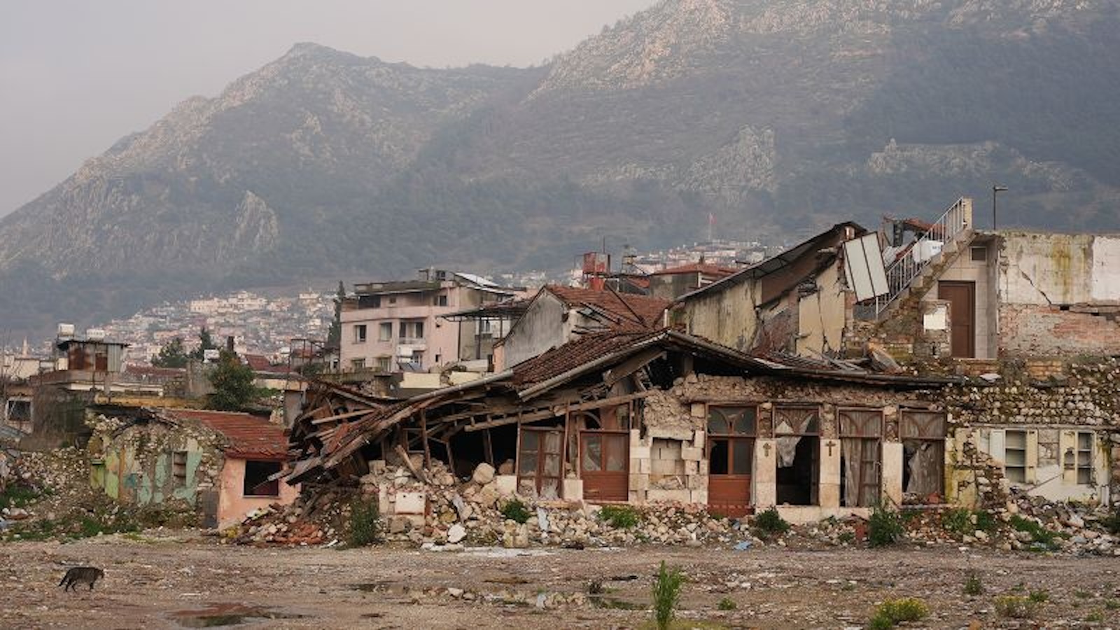 "Envidio a la gente que tiene una tumba que visitar": los supervivientes del terremoto en Turquía luchan por reconstruir sus vidas un año después