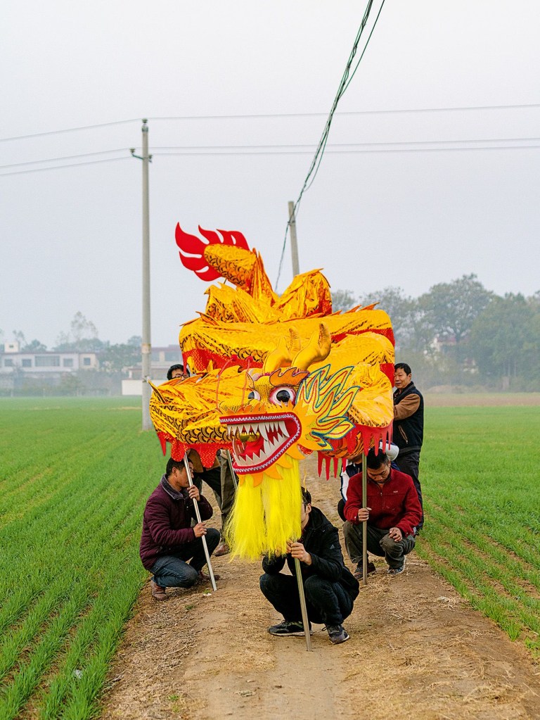 Un grupo de amigos posa con un gran títere de dragón dorado. (Zhang Xiao)