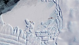 Captan desde el espacio la imagen de un glaciar que alberga pingüinos