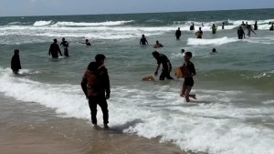 Tragedia en Gaza: Morir en la búsqueda de comida