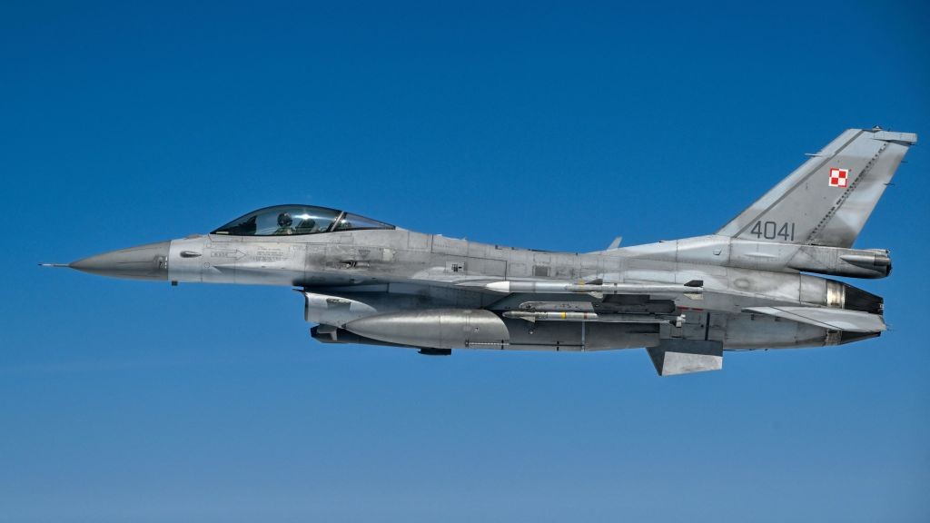 Why and for what purpose did Argentina buy 24 F-16 fighter planes from Denmark?