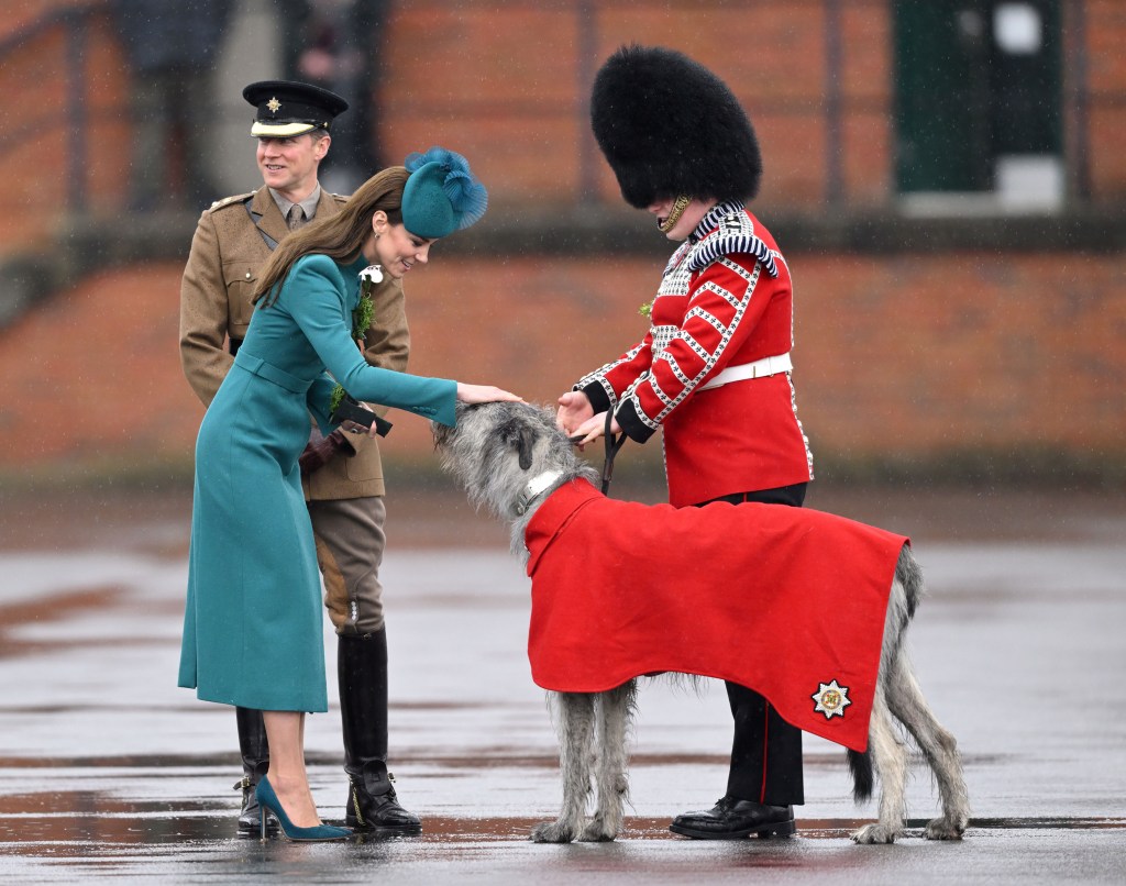 Kate se reúne con el perro lobo irlandés Turlough Mor (también conocido como Seamus), la mascota del regimiento de la Guardia Irlandesa, durante un desfile del Día de San Patricio en 2023. (Karwai Tang/WireImage/Getty Images)
