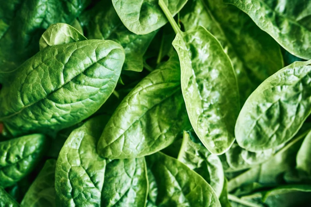 Crops such as strawberries, spinach and other leafy greens are particularly susceptible to pests.  (Photo: Ekaterina Goncharova/Momento RF/Getty Images).