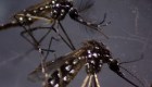 Alerta sanitaria por la epidemia de dengue en Perú