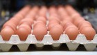 Sube el precio de los huevos por brote de gripe aviar